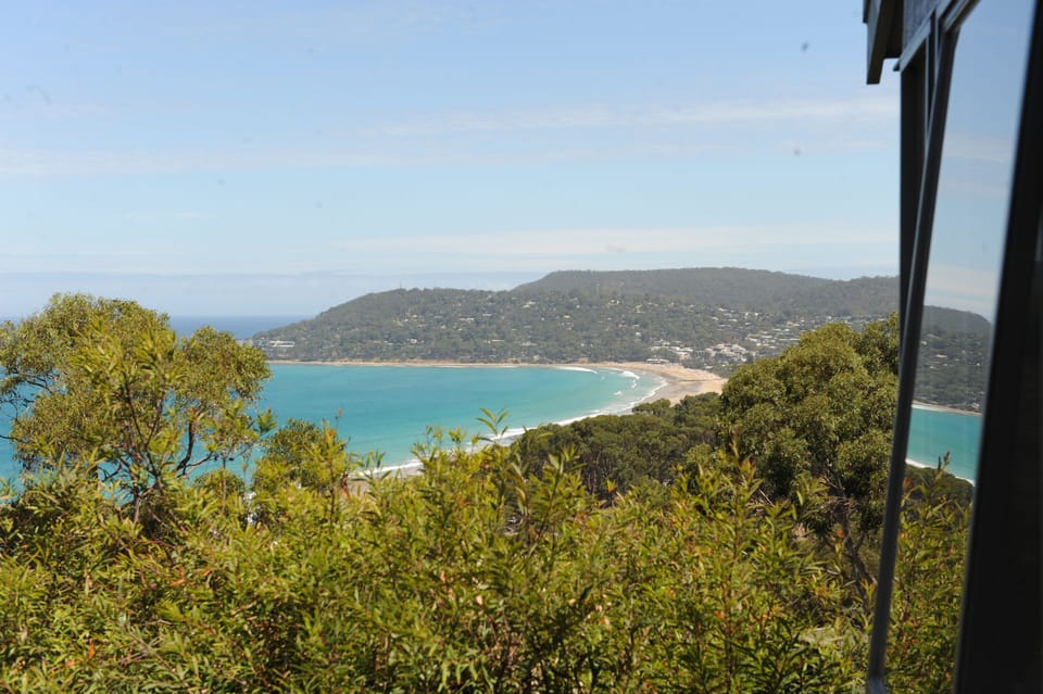 The Vista 
