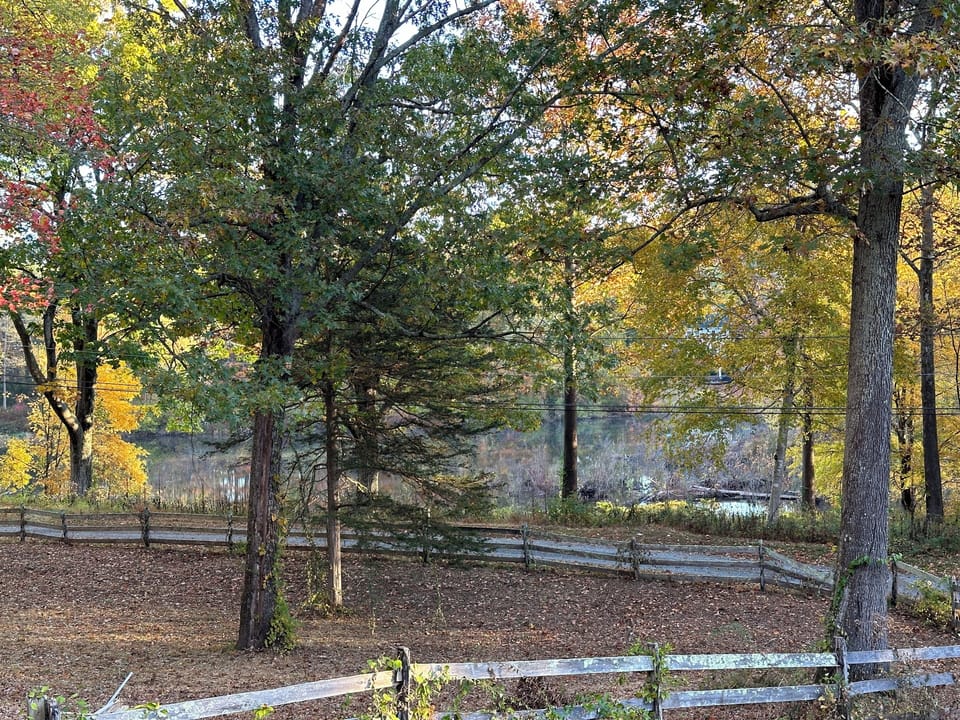 View to river from house