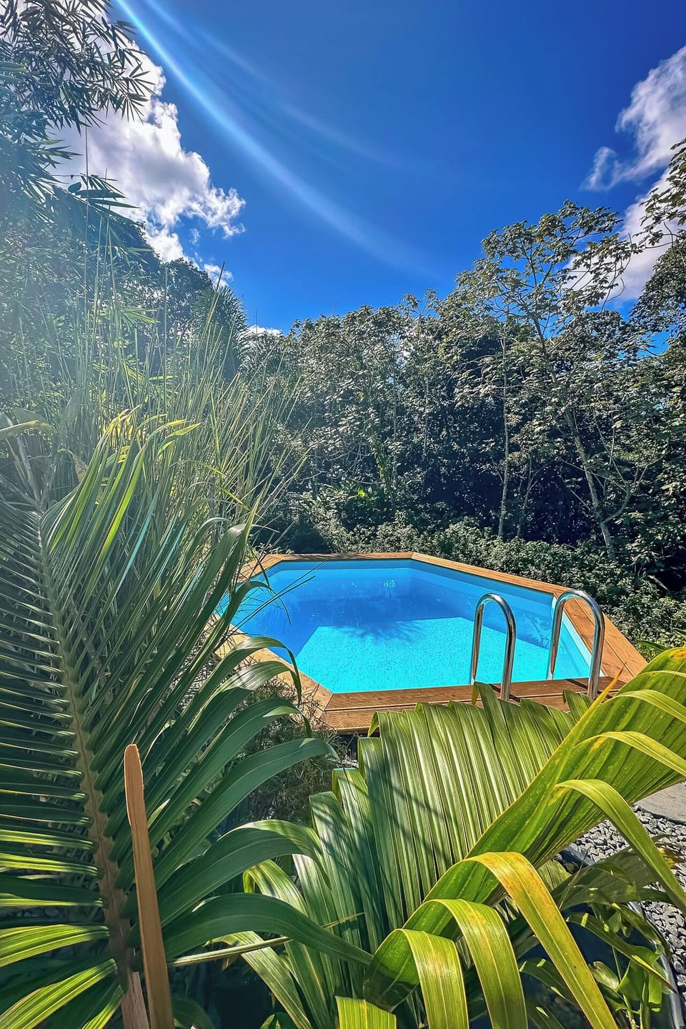 The White Palm - Tropical Bungalow-011