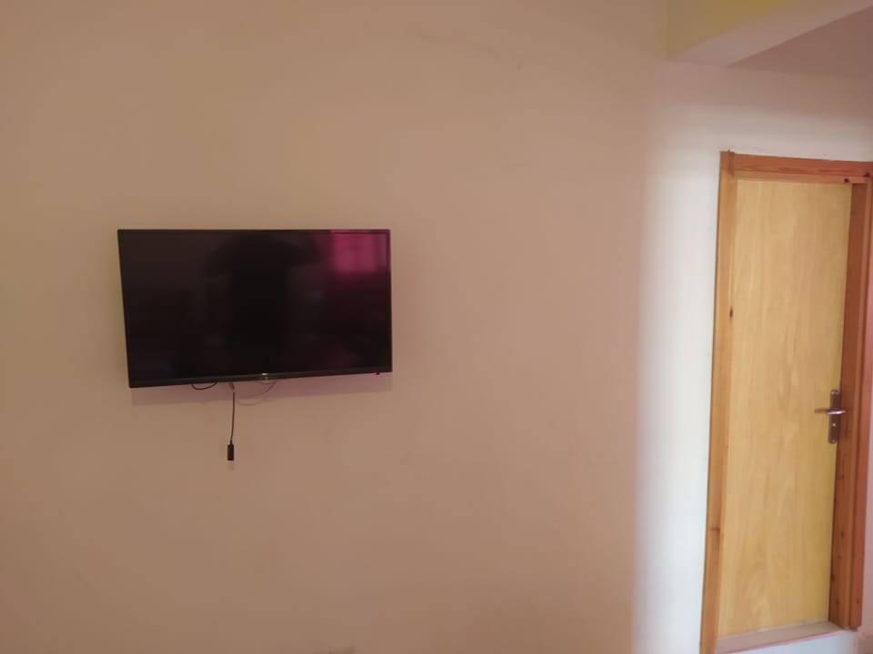 Television