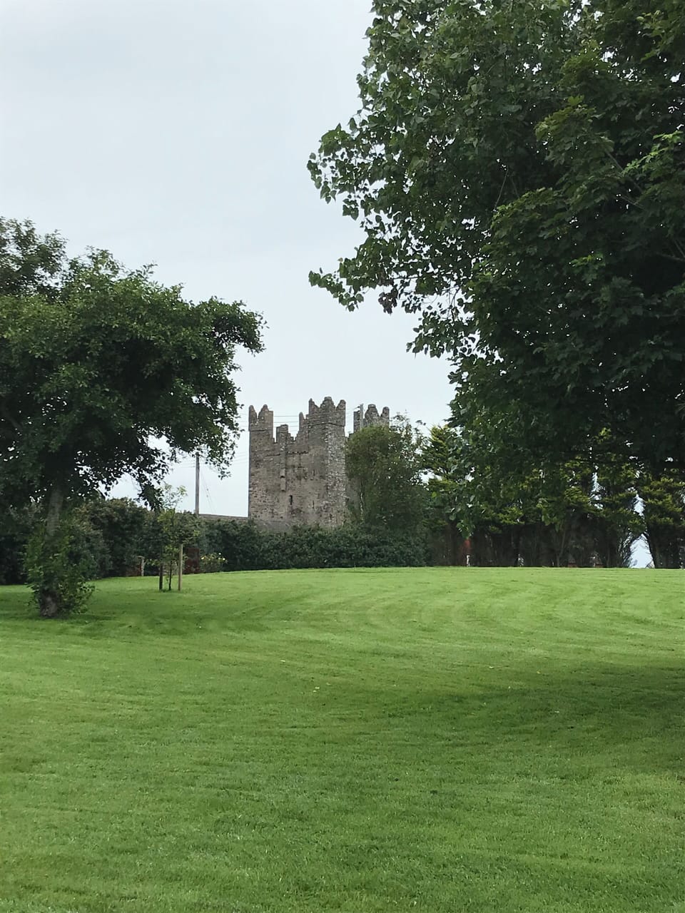 Kilclief Castle, as seen from garden