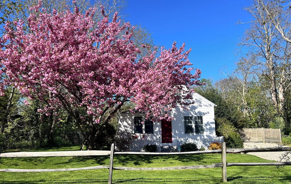 Front of cottage in spring 