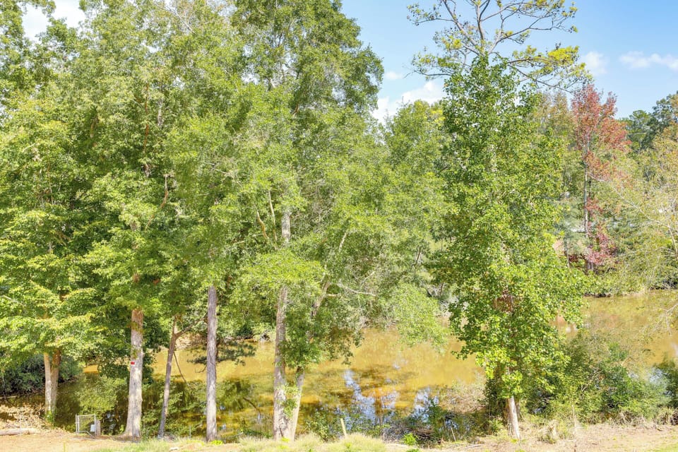 Lake Views