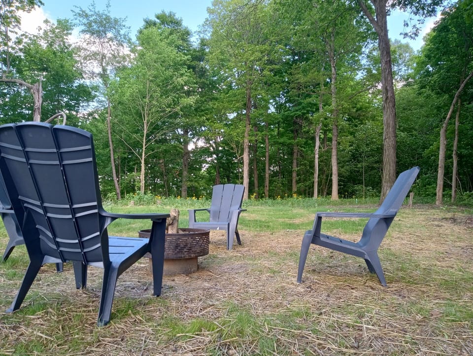 Firepit with provided wood