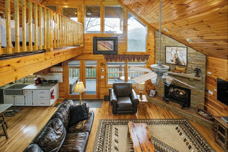Living area with sofa sleeper