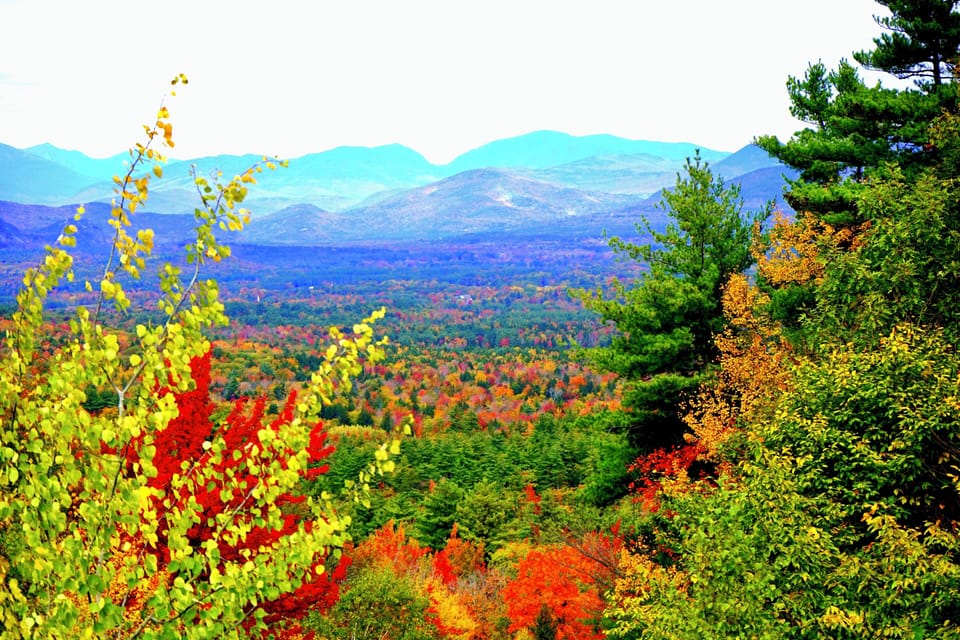 View from the balcony