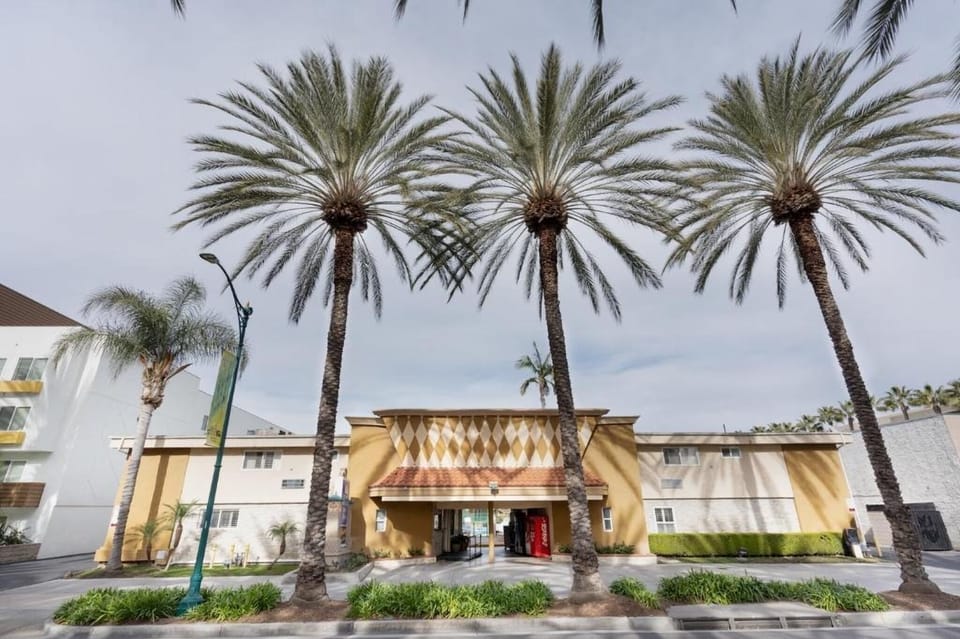 Pull up to a classic exterior framed by tall palms.