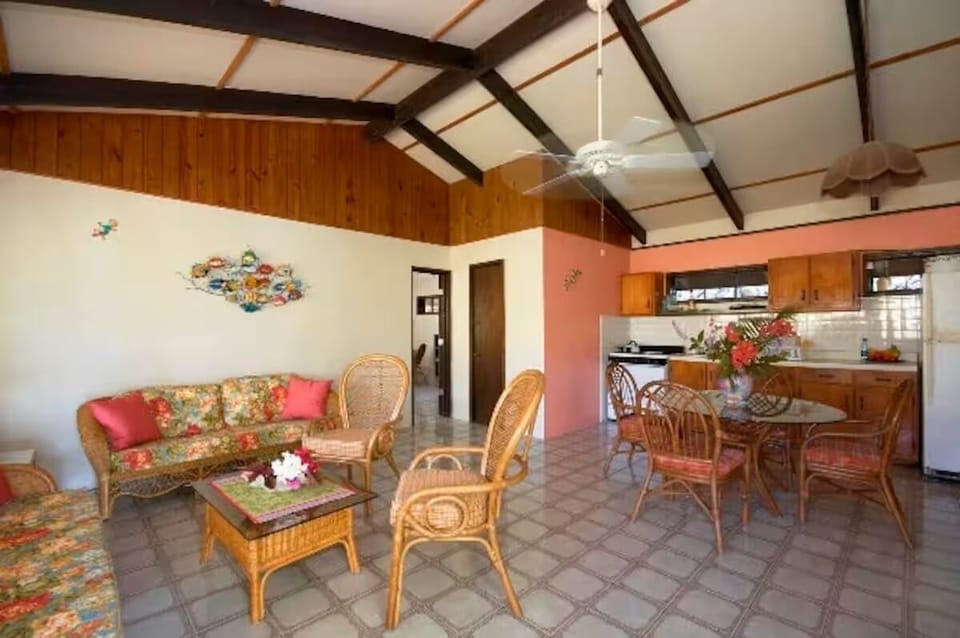 Open concept living/dining room plus kitchen with stove and cooking essentials.
