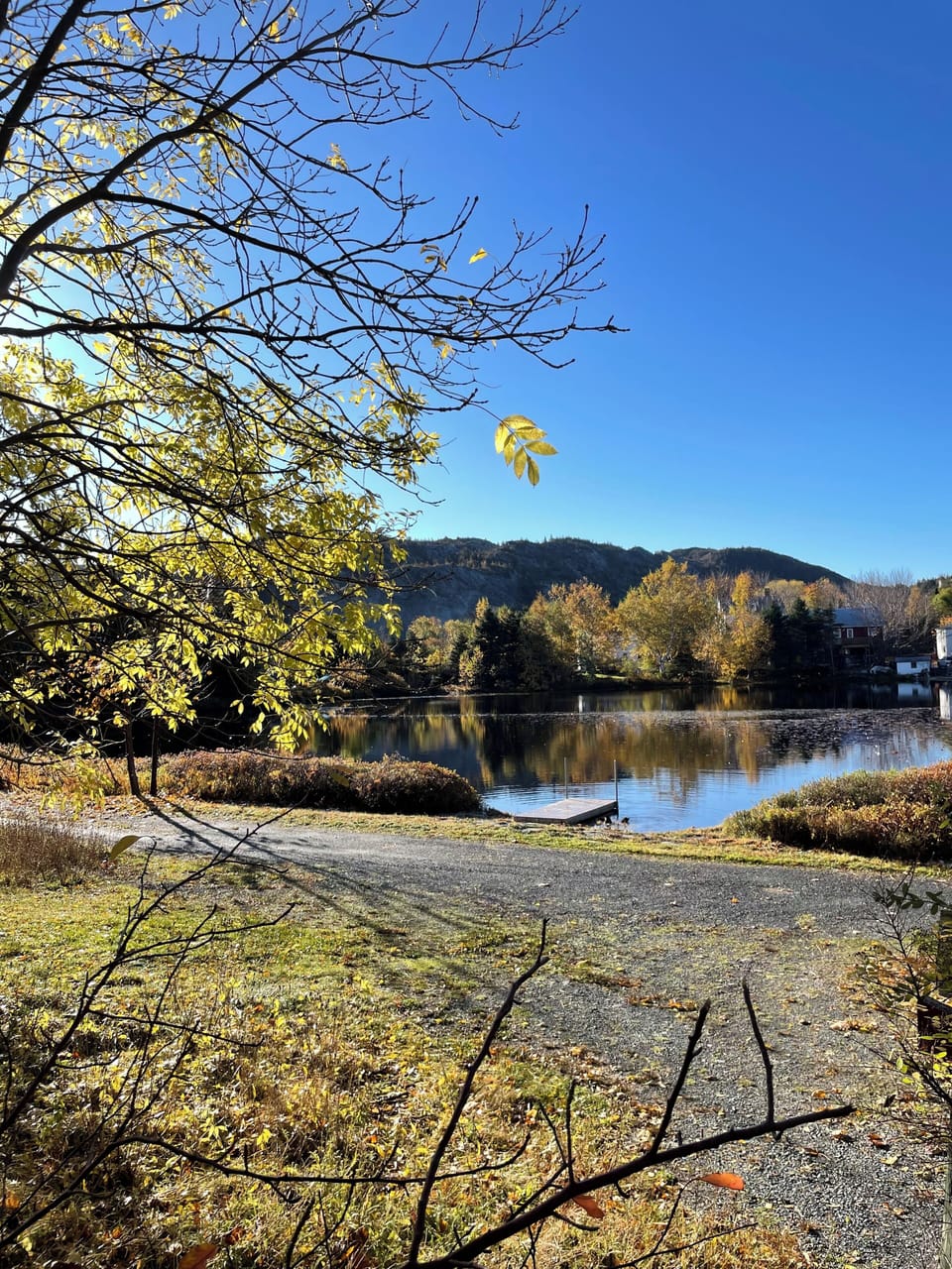 Beaverpond adjacent to front yard. 