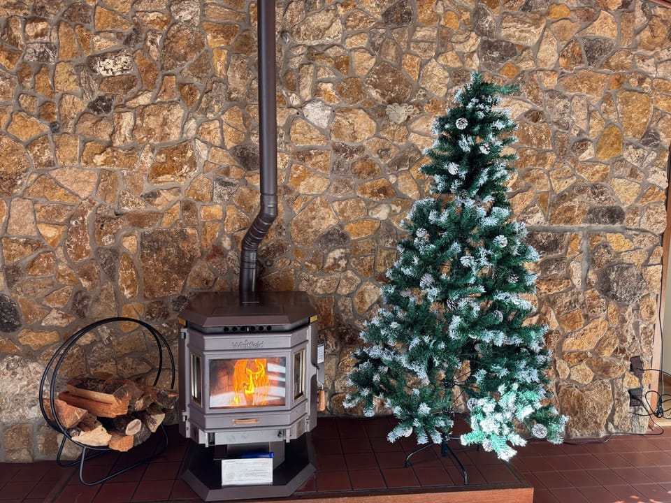 Celebrate the holiday spirit with a beautiful Christmas tree 