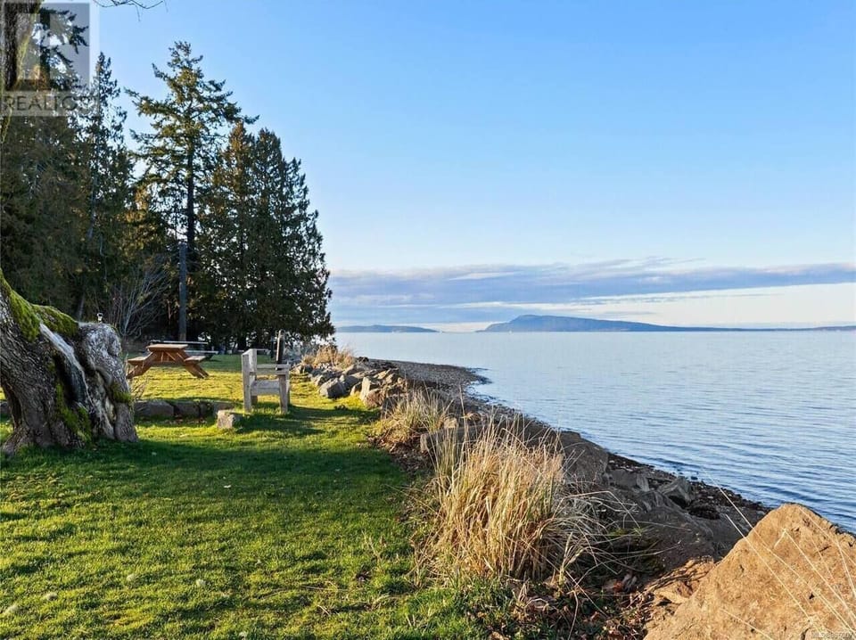 Bench with a view