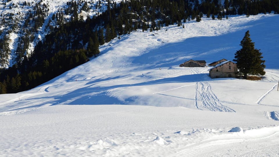 A snow-blanketed Alpine meadow with ski tracks leading toward a cozy mountain chalet nestled among pine trees.