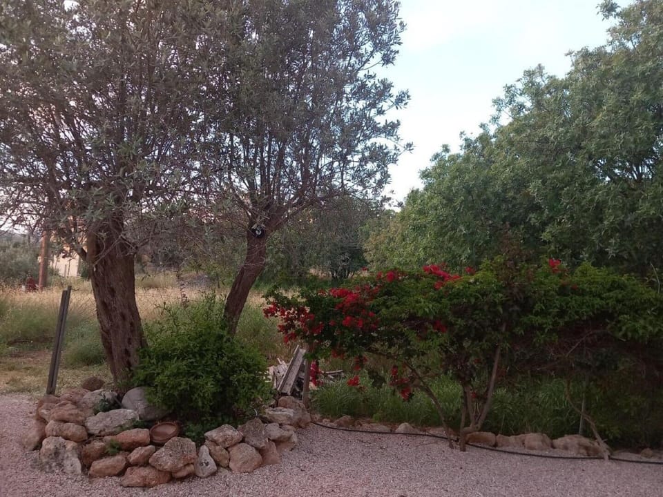 Our lives tree as you arrive