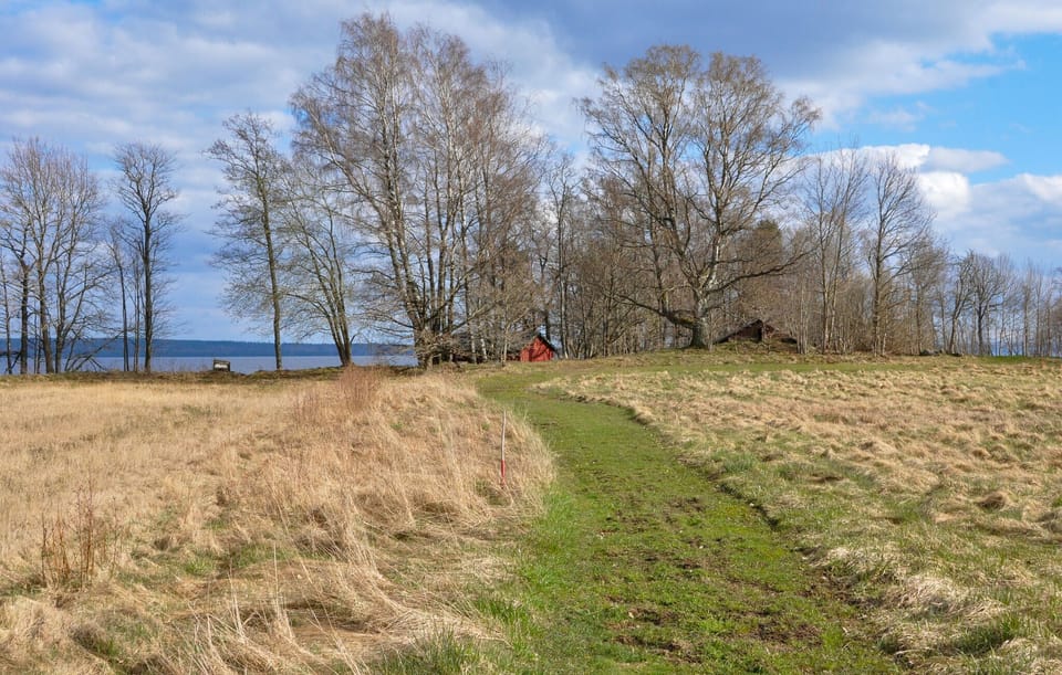 area