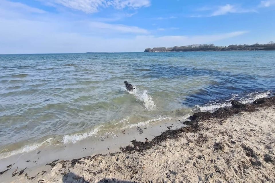 Water view