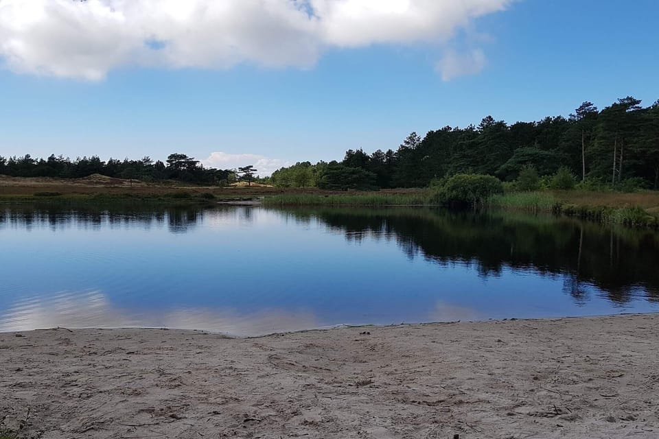 Water view