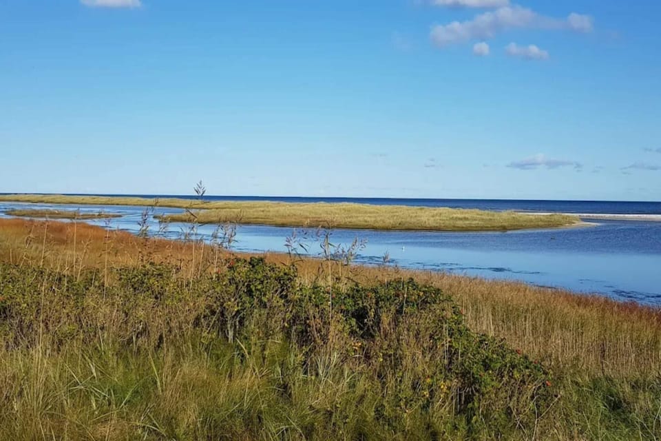 Water view