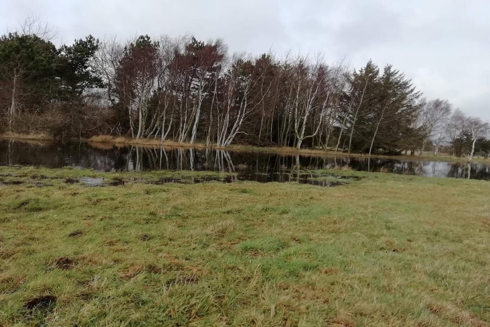 Water view