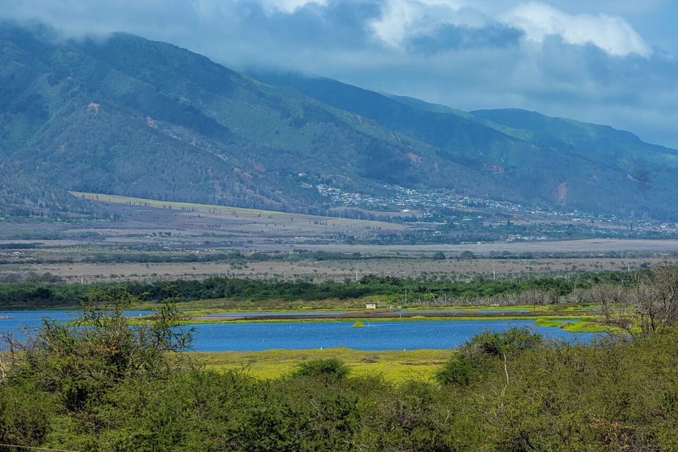 Kealia National Wildlife refuge in the distance