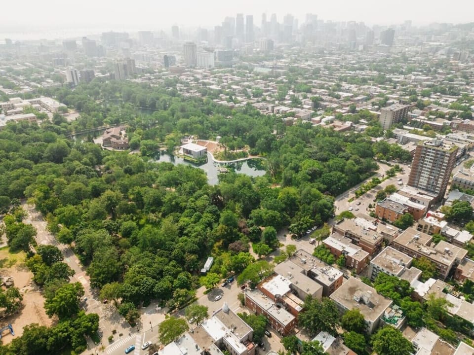 Aerial view
