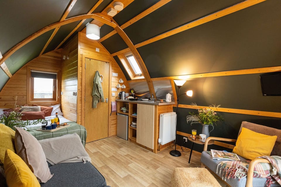 Living room, bedroom, and kitchenette