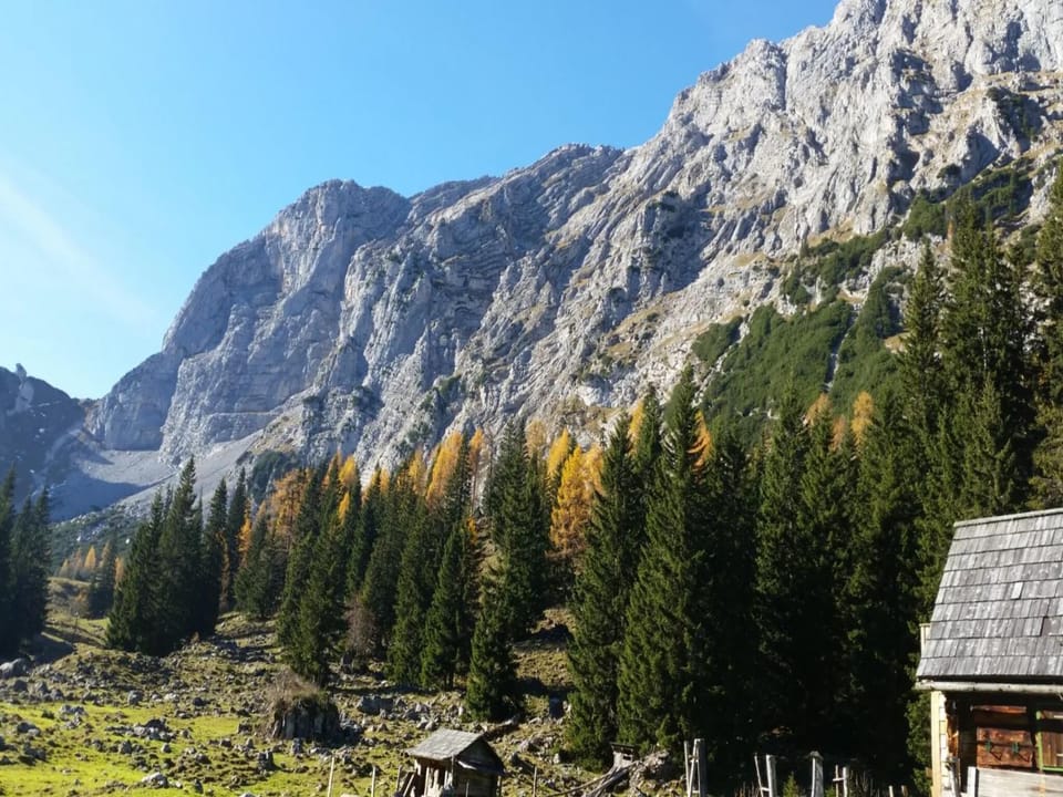 Region [summer] (>5 km)