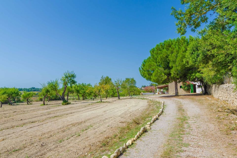 Surroundings [summer] (1-5 km)