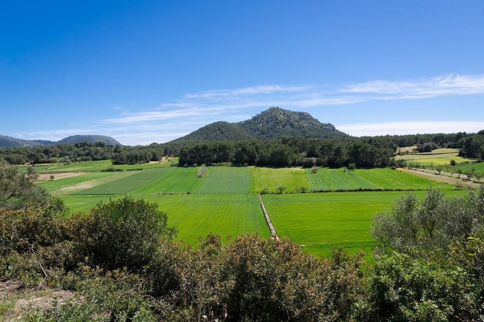 Surroundings [summer] (1-5 km)