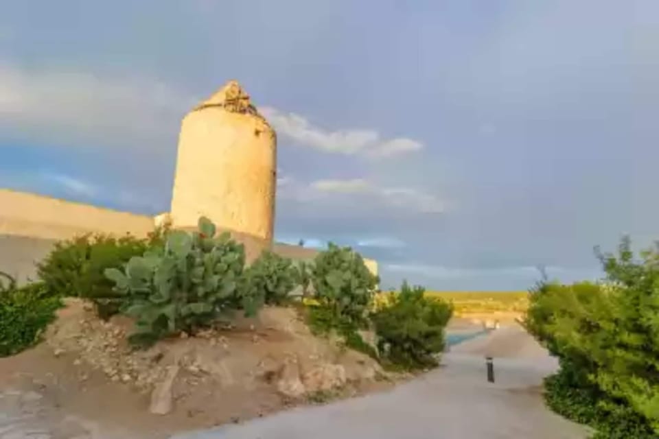 Immediate Surroundings [summer] (<1 km)