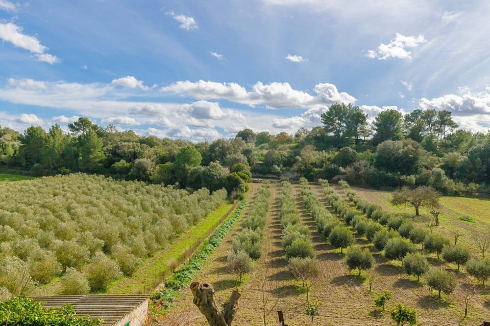 Surroundings [summer] (1-5 km)