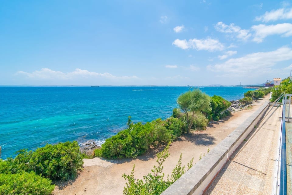 View from Holiday Home [summer]
