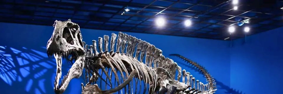 Dive into fascinating exhibits and learn about the rich history and culture at the Museum of Red River.