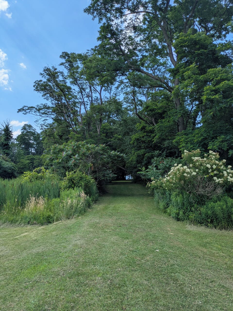 path to the back. Fire pit and picnic table are there. You can see the lake 