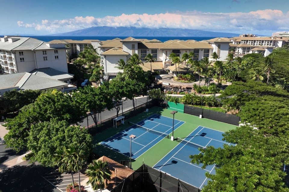 Sport court