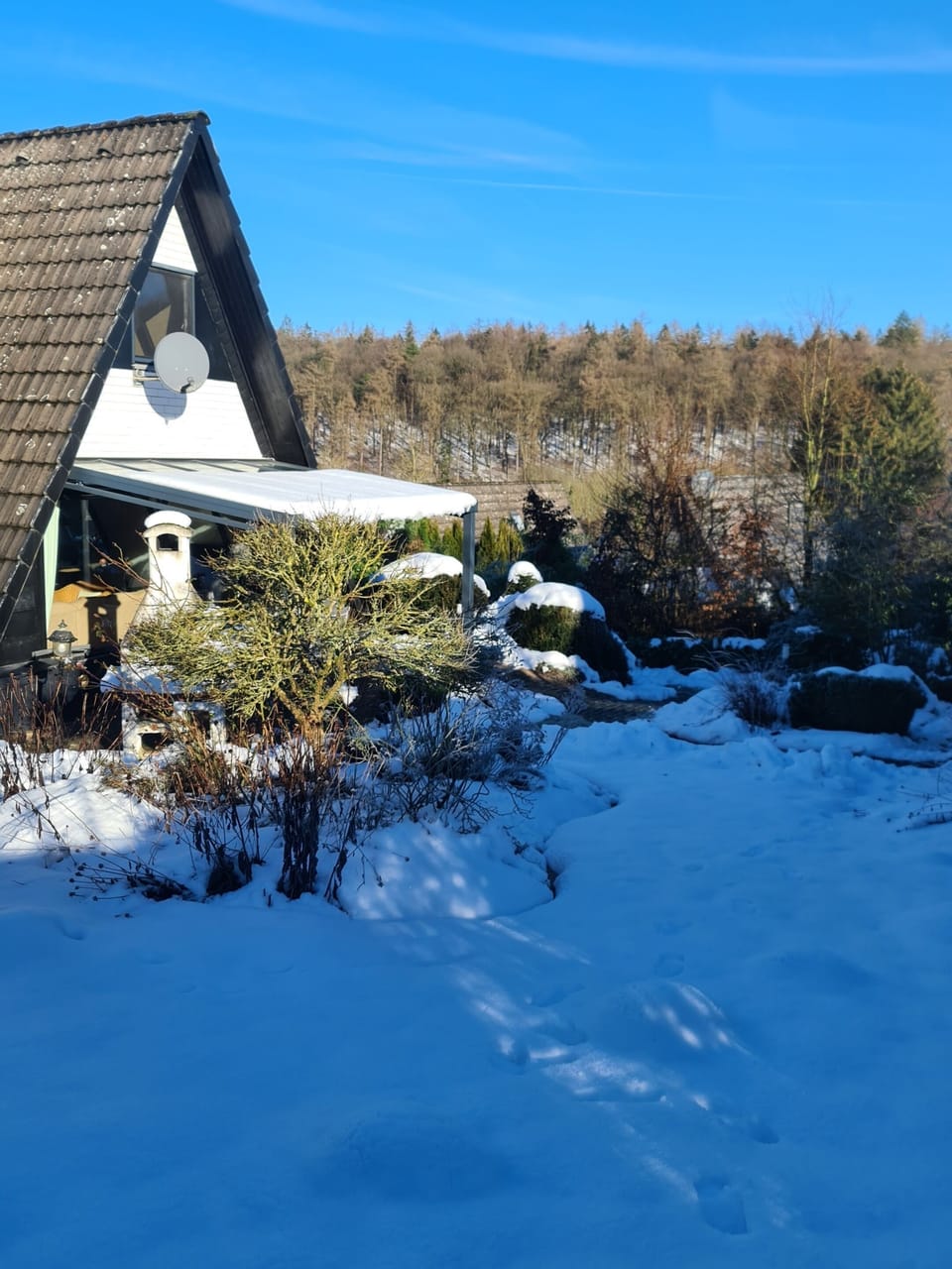 winter dream