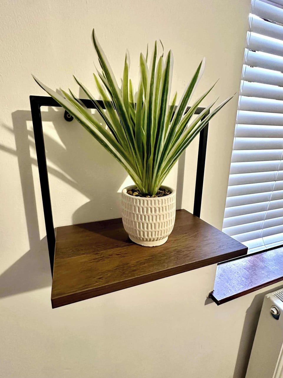 Decor