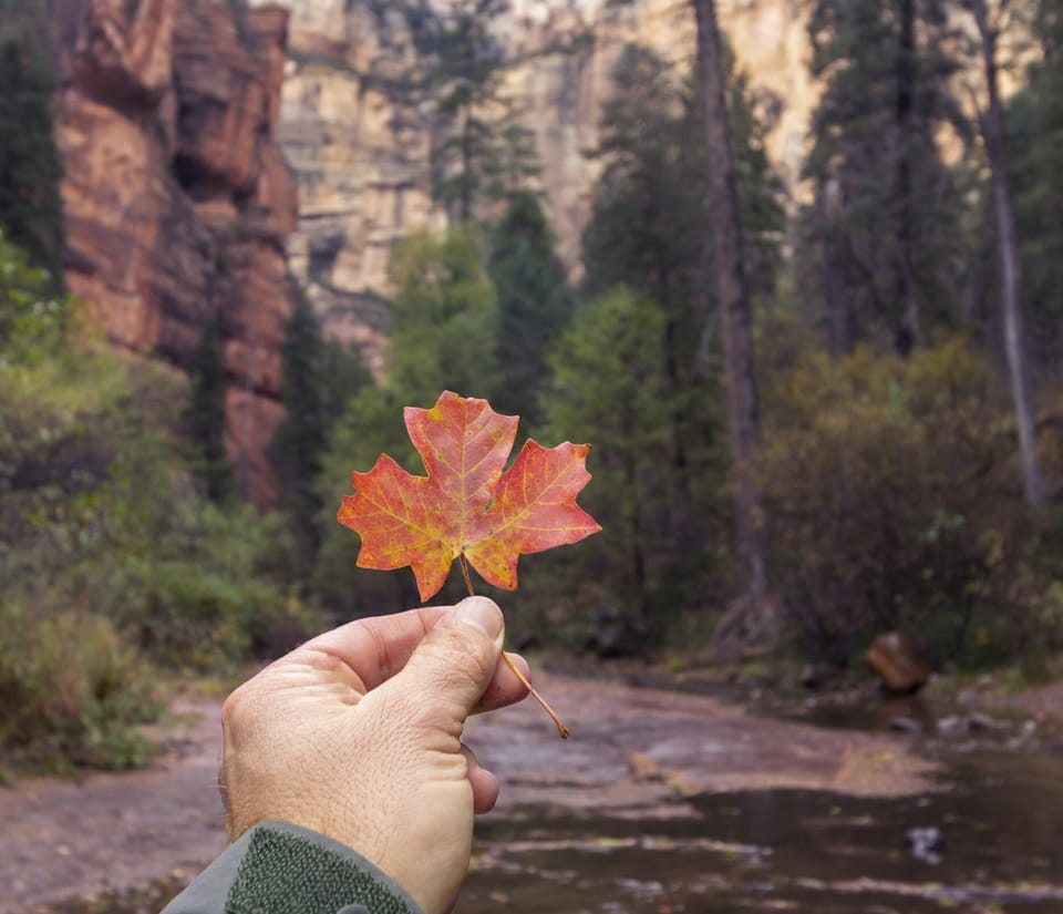 Oak Creek Canyon in Fall - Sedona AZ
