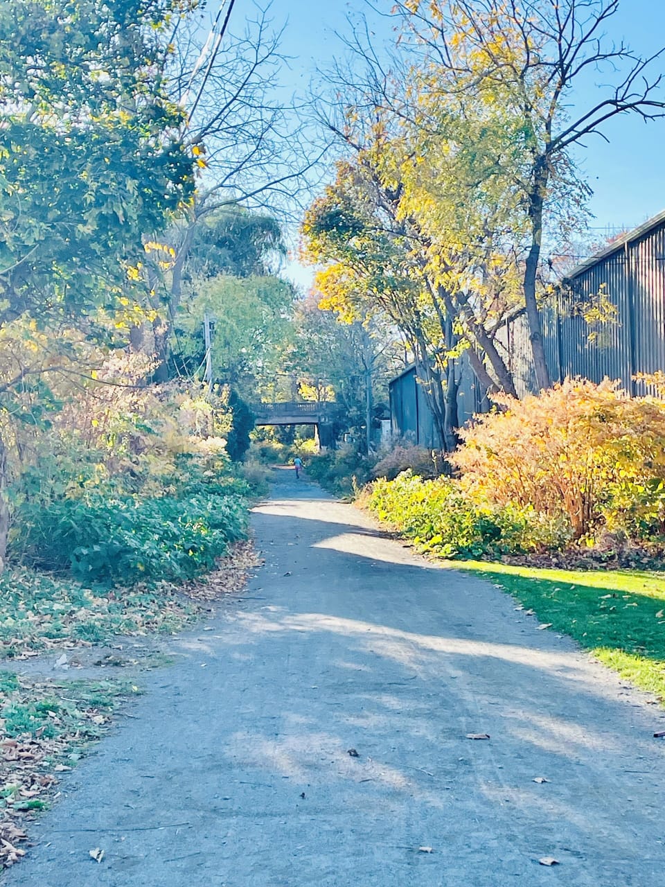 Walking and bike trail