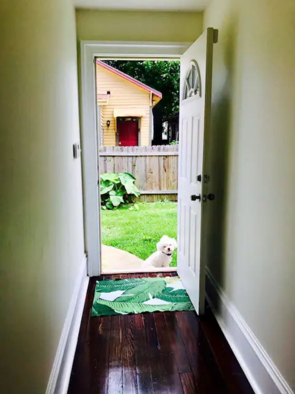 Private entrance through backyard, fluffy dog not included.