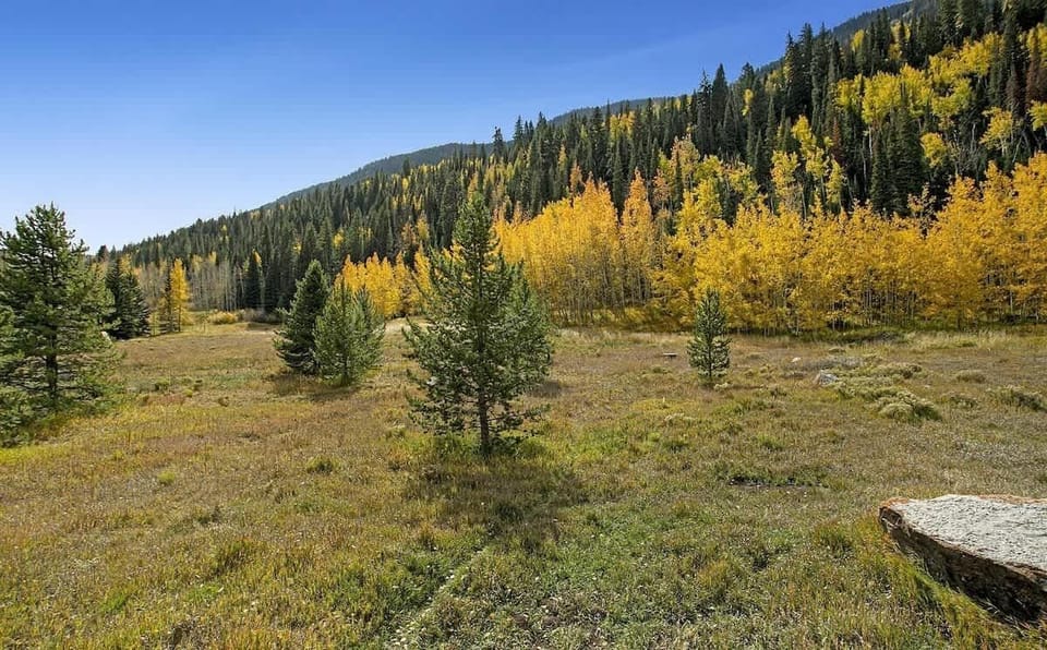 Beautiful views of quiet East Vail, away from I-70.