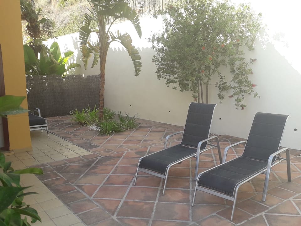 Loungers in the rear garden