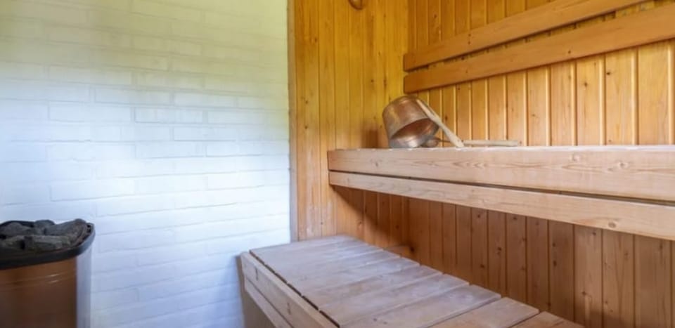Indoor sauna (electric stove)