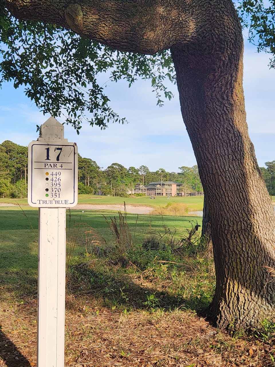 the beautiful view of the 17th fairway of True Blue Golf Club