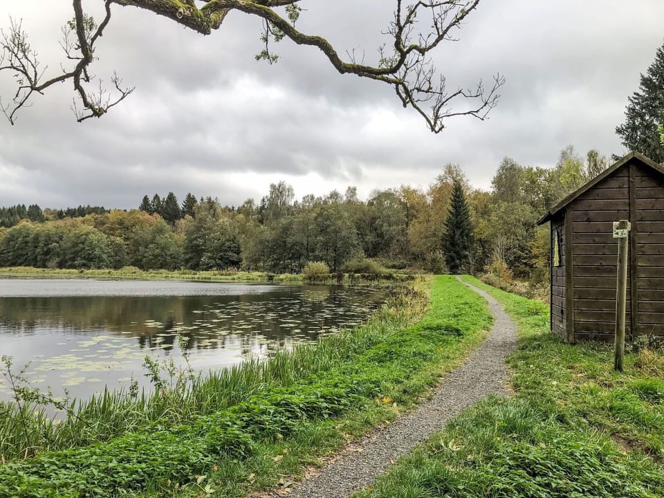 Water, Sky, Cloud, Plant, Tree, Natural Landscape, Land Lot, Lake, Biome, Grass