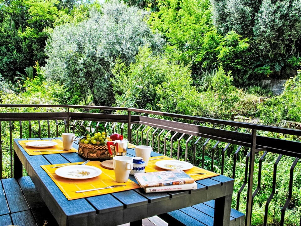 Table, Plant, Food, Property, Tableware, Furniture, Outdoor Table, Tree, Botany, Outdoor Furniture