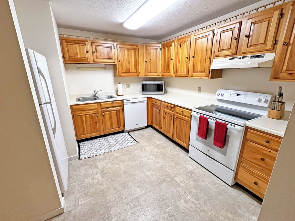 Full kitchen with stove, dishwasher, fridge and microwave
