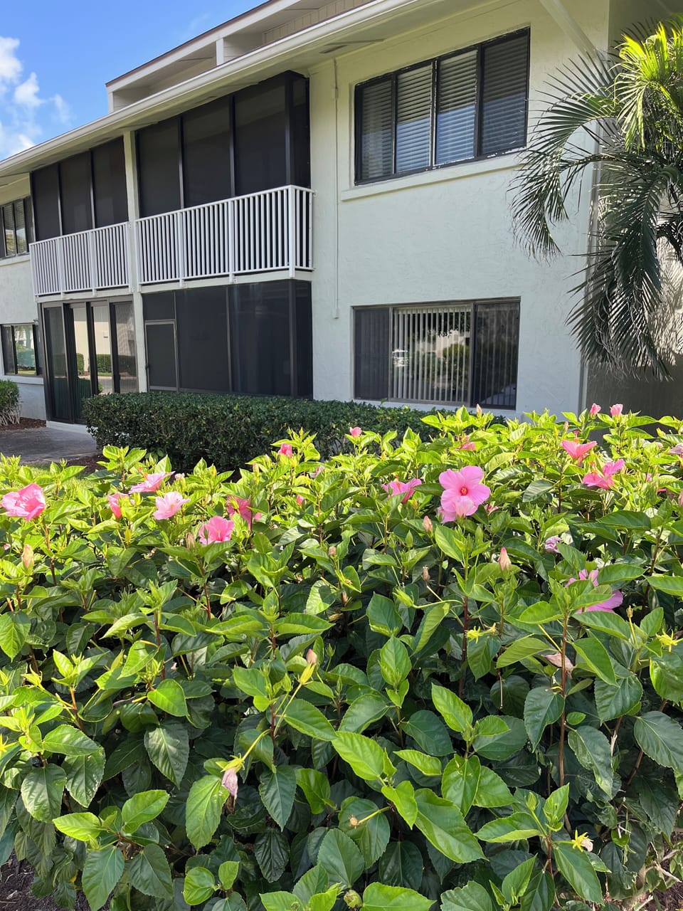 Exterior view from lanai side of condo (first floor, no steps)