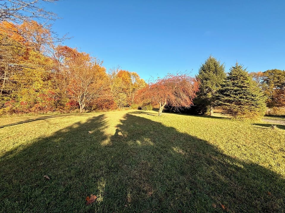 Front Yard / Field