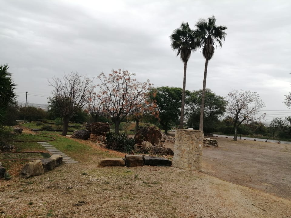 Vista do quarto para a frente. Jardim e parque 