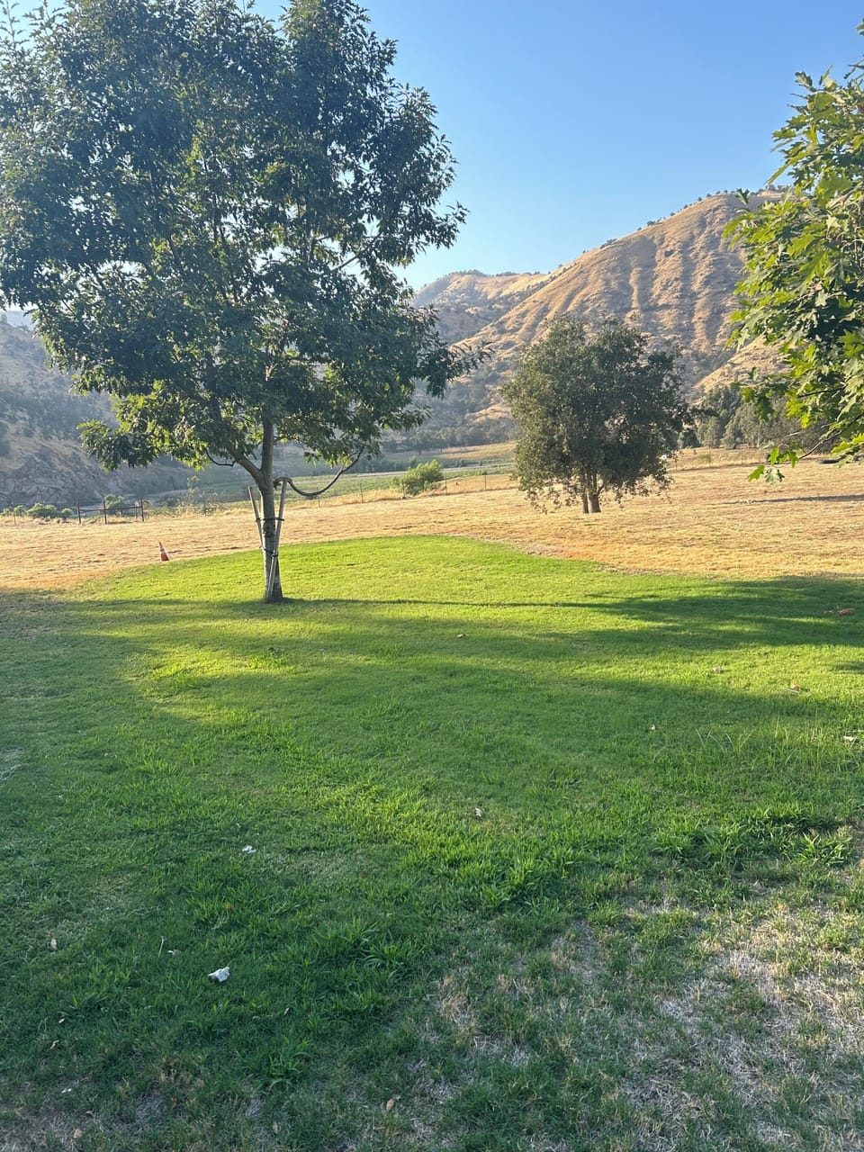 Property grounds